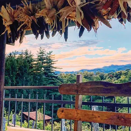 Il Vigneto Sul Vineyard View - Happy