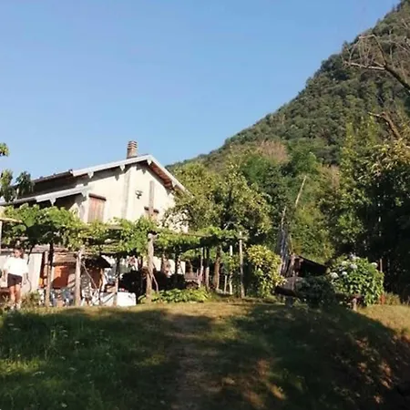Villa Il Vigneto Sul Vineyard View - Happy